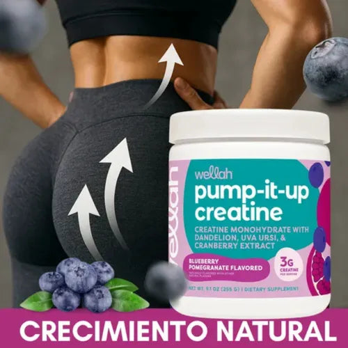 CREATINA PUM-IT-UP